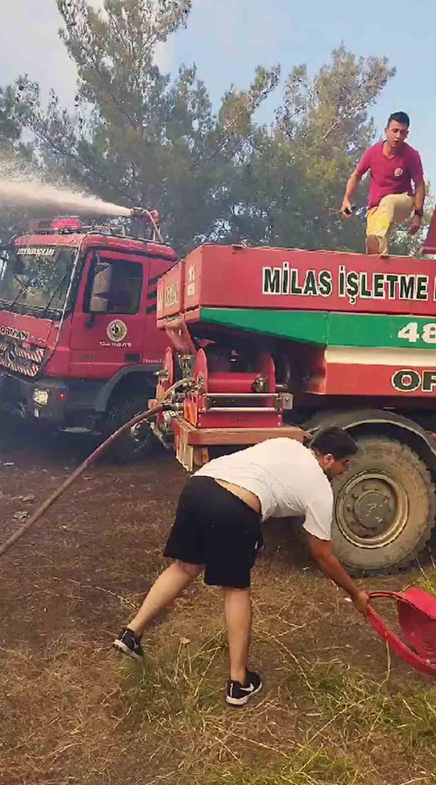 Milas’ta orman yangını