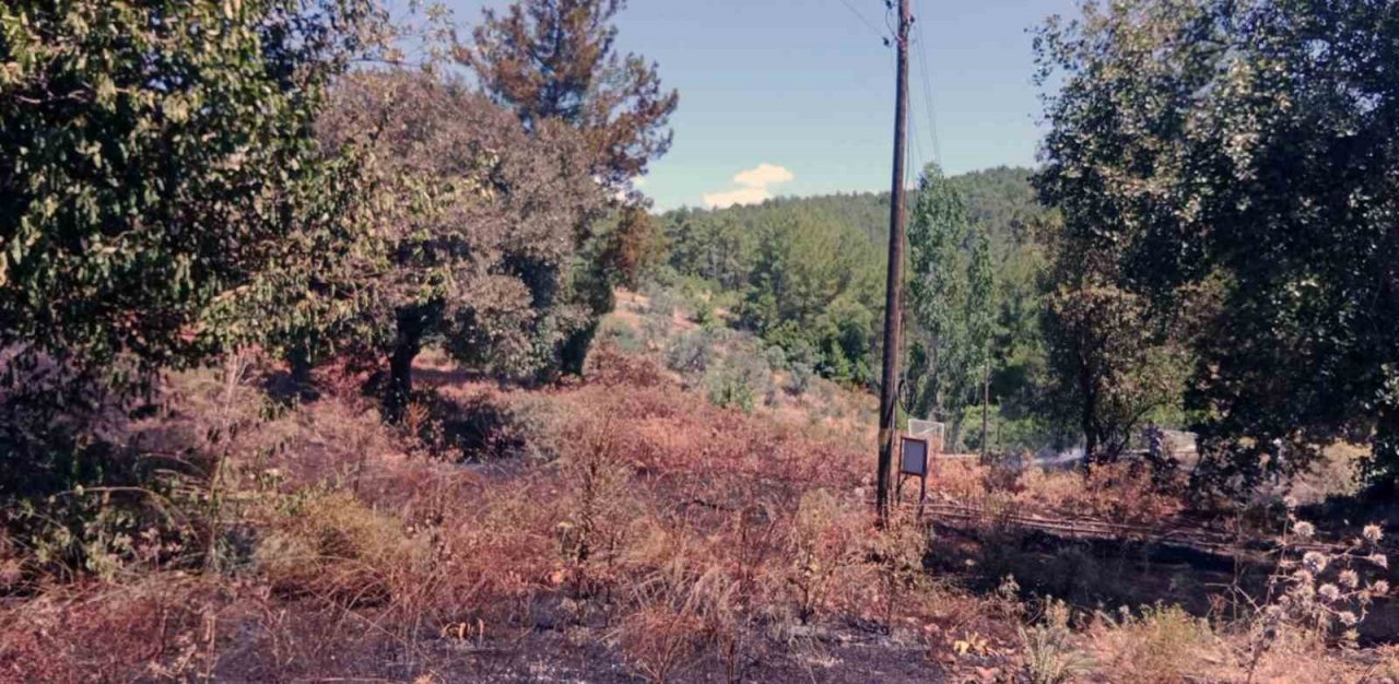 Ula yangını söndürüldü