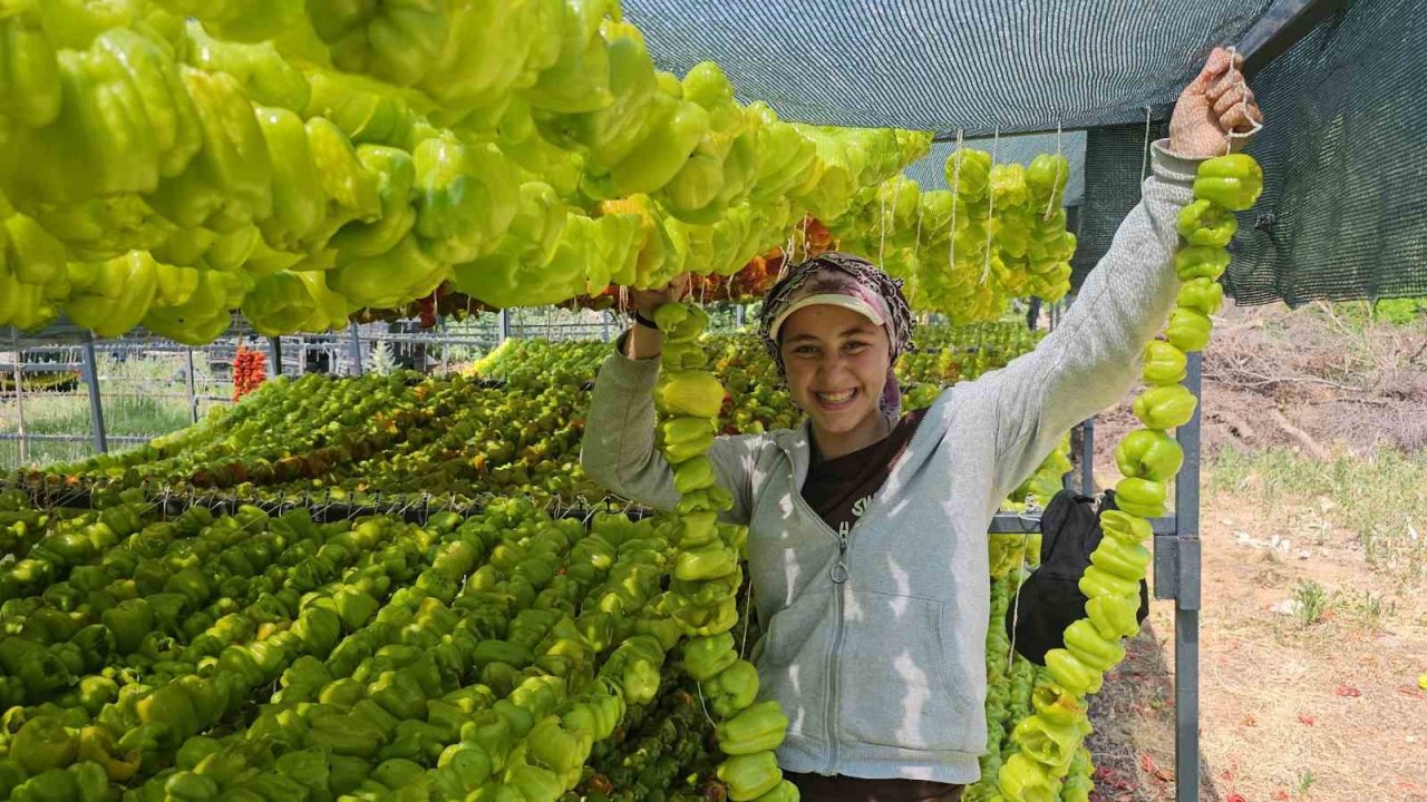 Patlıcan Vadisi’nde renkli görüntüler