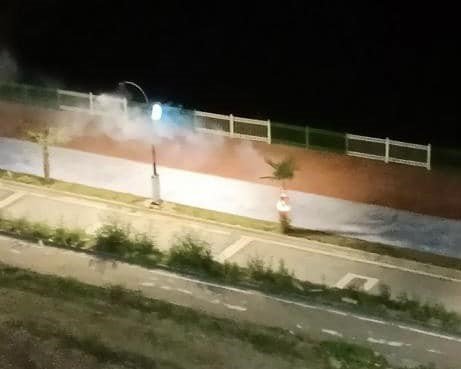 Ağaçları yakan magandalar kameralara yakalandı