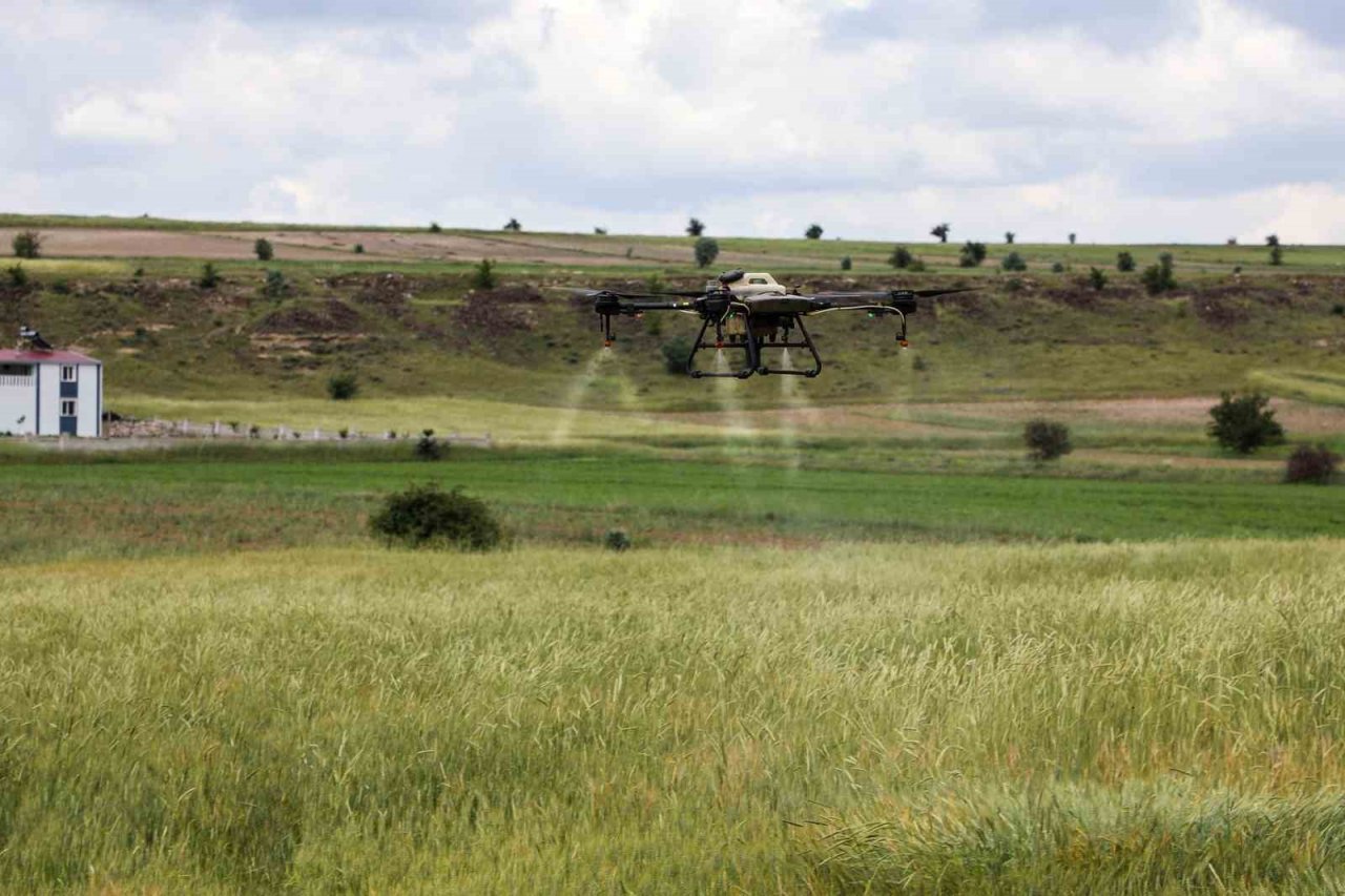 Talas’ta drone ile ilaçlama devri