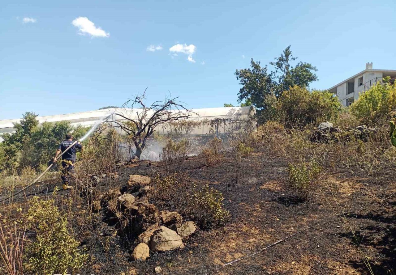 Alanya’da, bahçe yangınında meyve ağaçları ve sulama sistemi zarar gördü