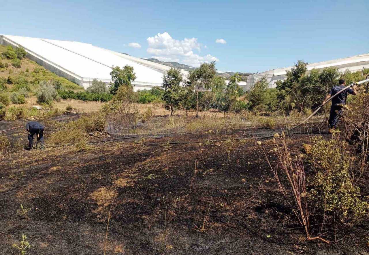 Alanya’da, bahçe yangınında meyve ağaçları ve sulama sistemi zarar gördü
