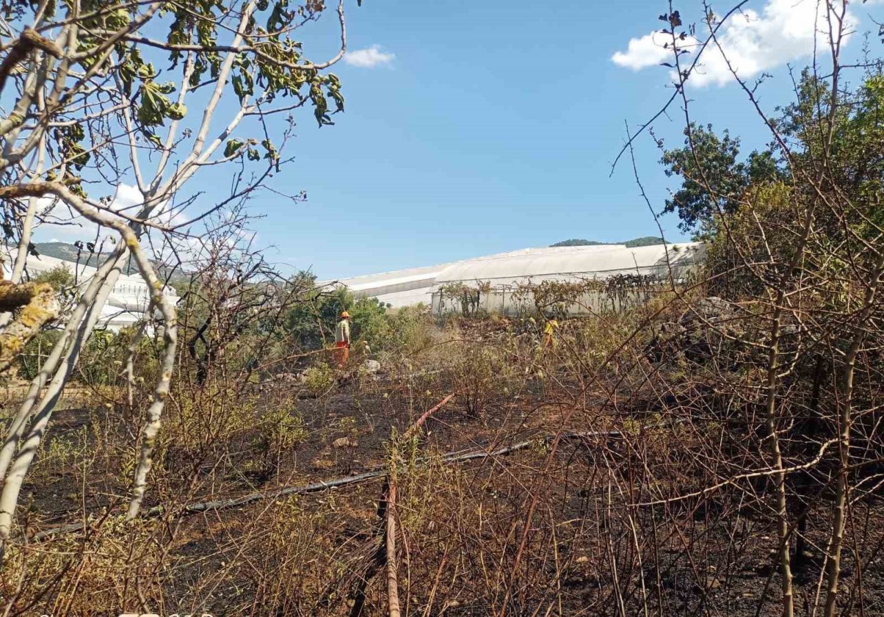 Alanya’da, bahçe yangınında meyve ağaçları ve sulama sistemi zarar gördü