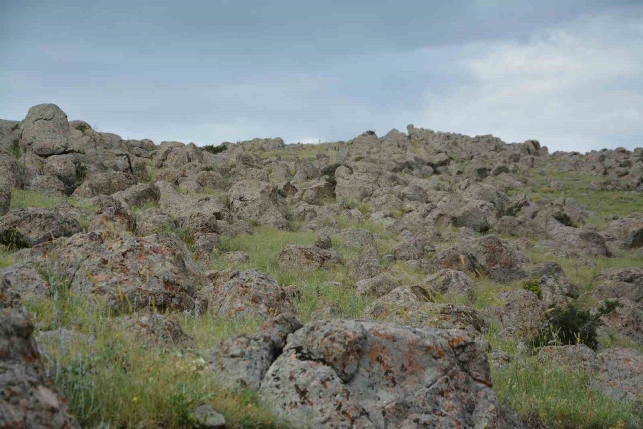 Ankara savaşı; ’nerede oldu’ tartışması
