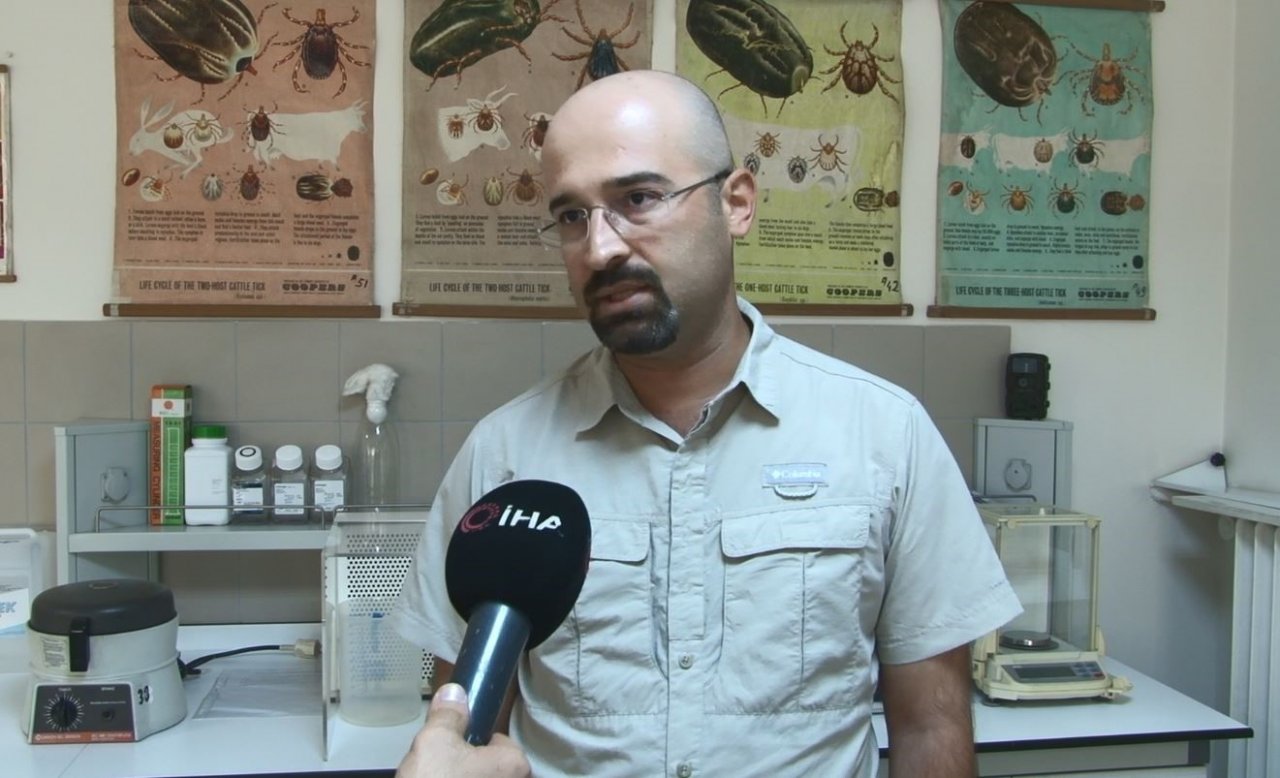 Uzmanından ’aşırı yağışlar keneleri belirli noktalara taşıdı’ açıklaması