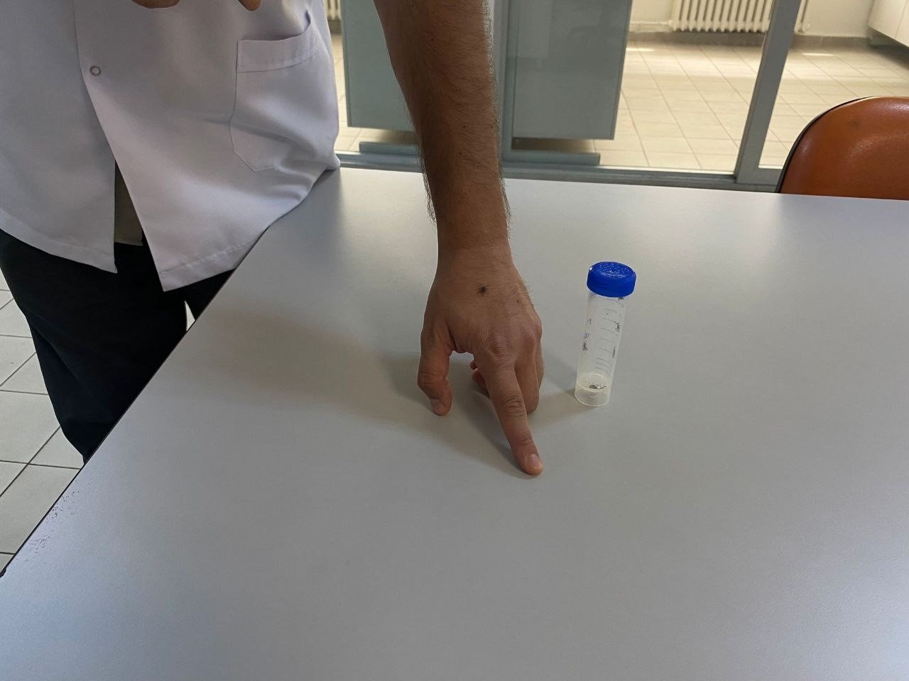 Uzmanından ’aşırı yağışlar keneleri belirli noktalara taşıdı’ açıklaması