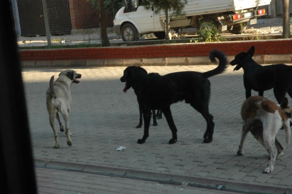 Vali Aksoy’dan, belediyelere “duyarlılık” çağrısı