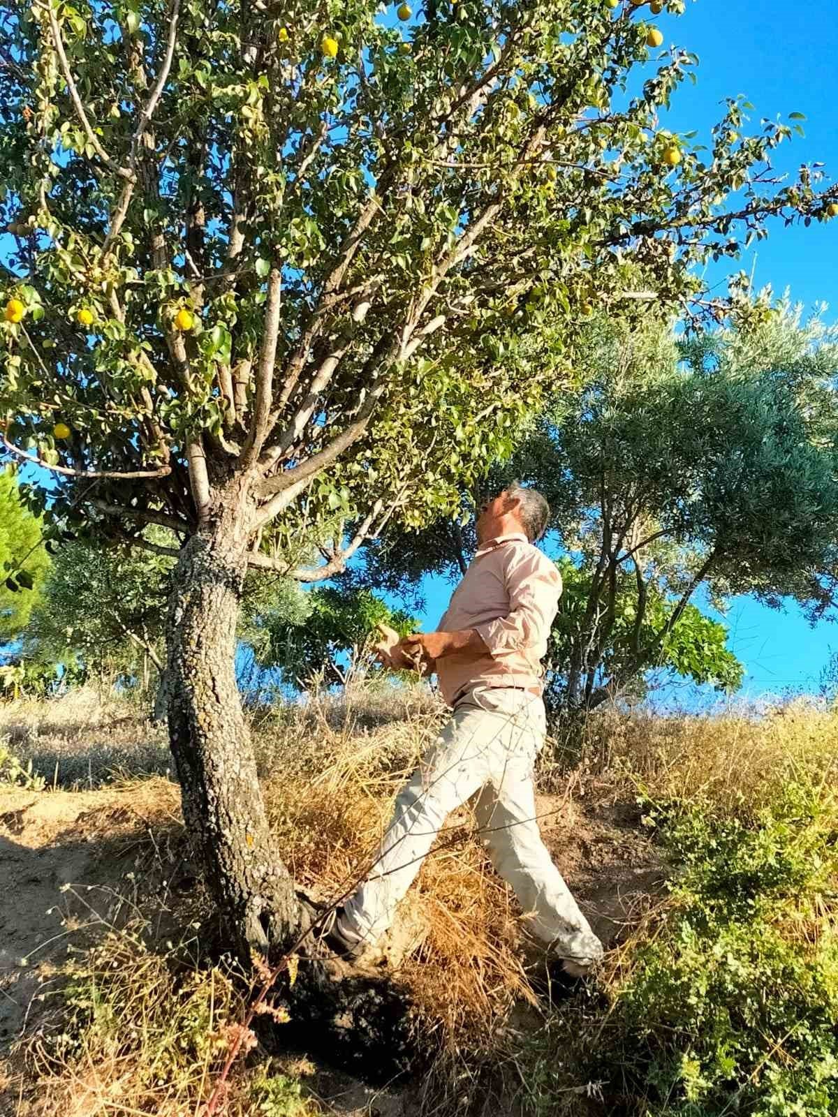 Aydın’da paylaşmanın önemini gösteren not