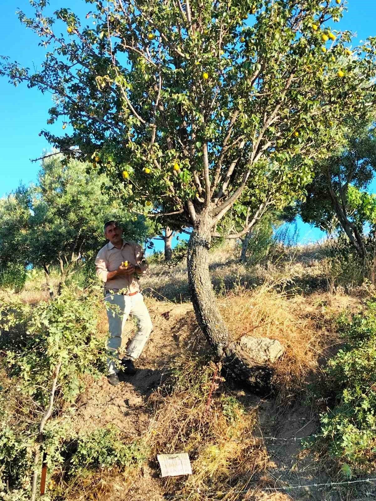 Aydın’da paylaşmanın önemini gösteren not