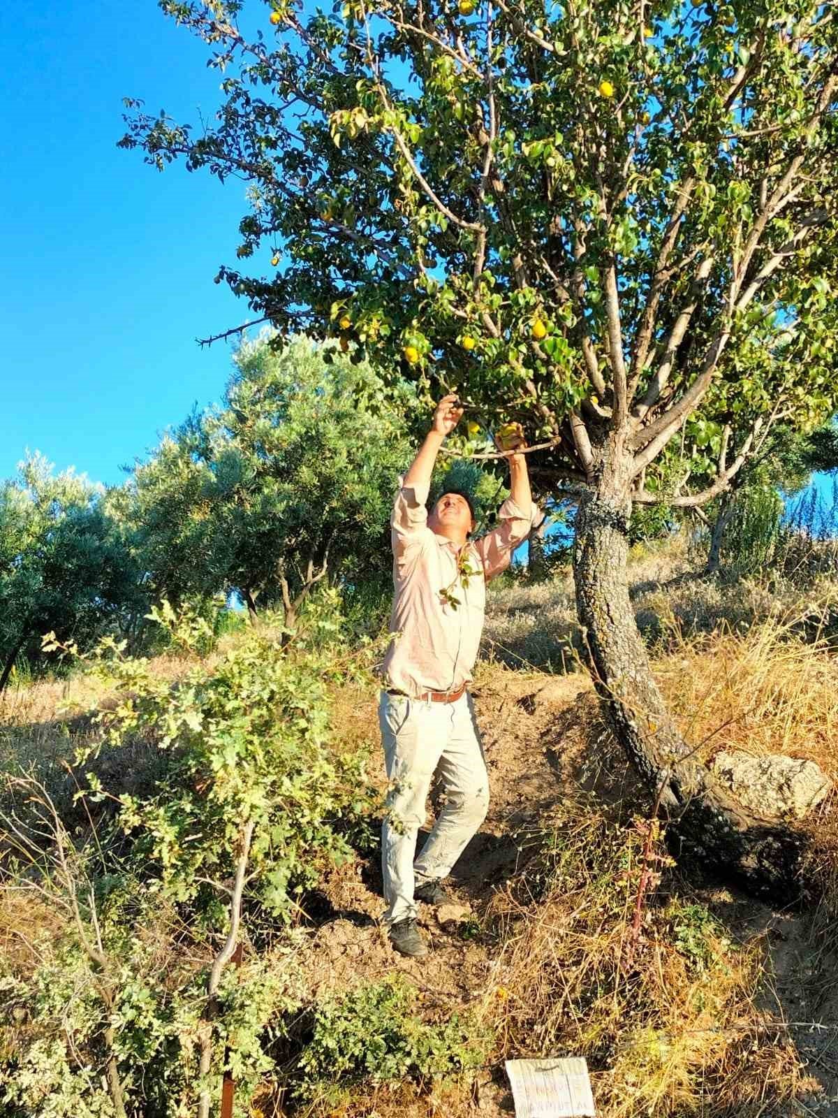 Aydın’da paylaşmanın önemini gösteren not