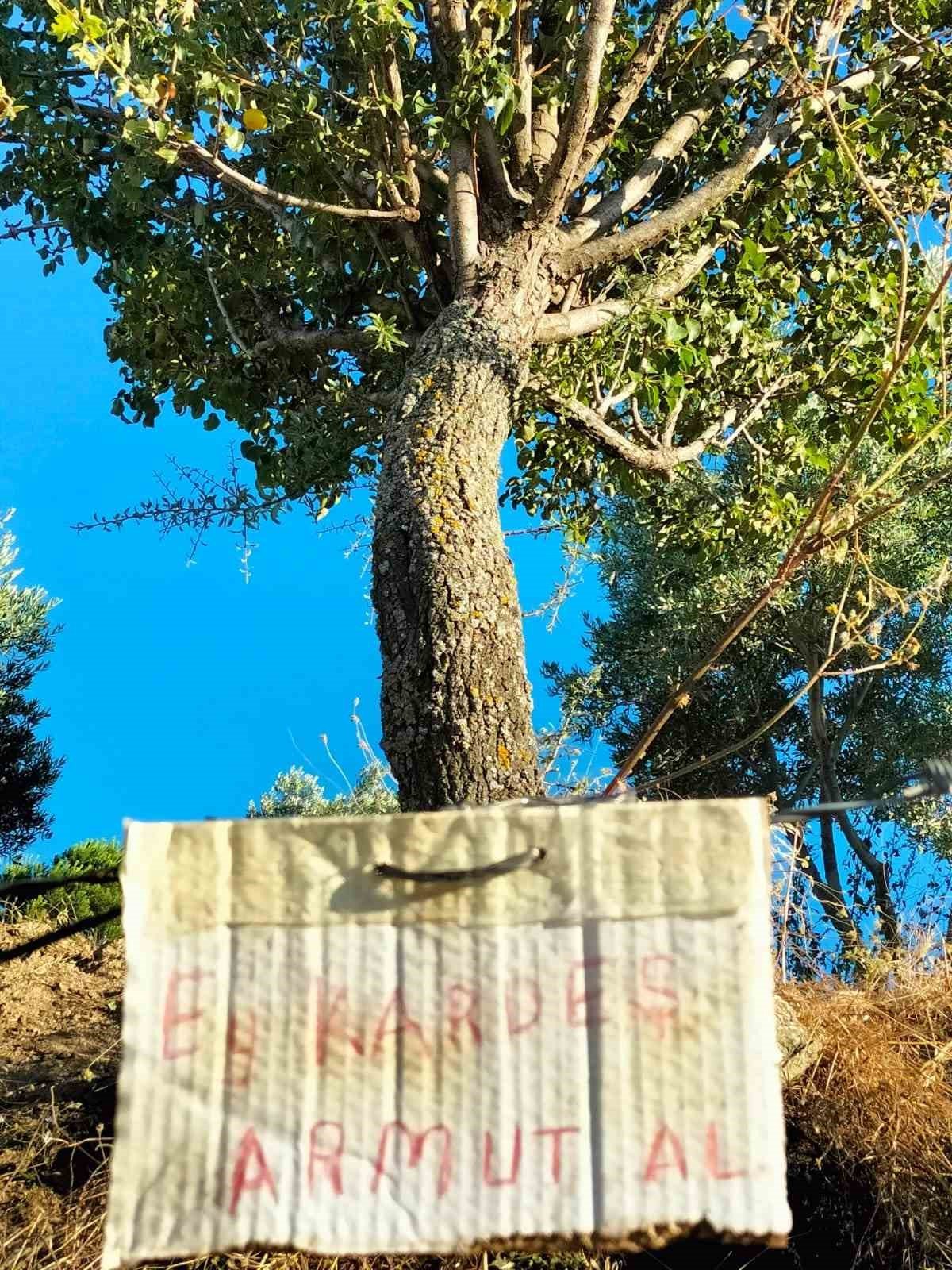 Aydın’da paylaşmanın önemini gösteren not