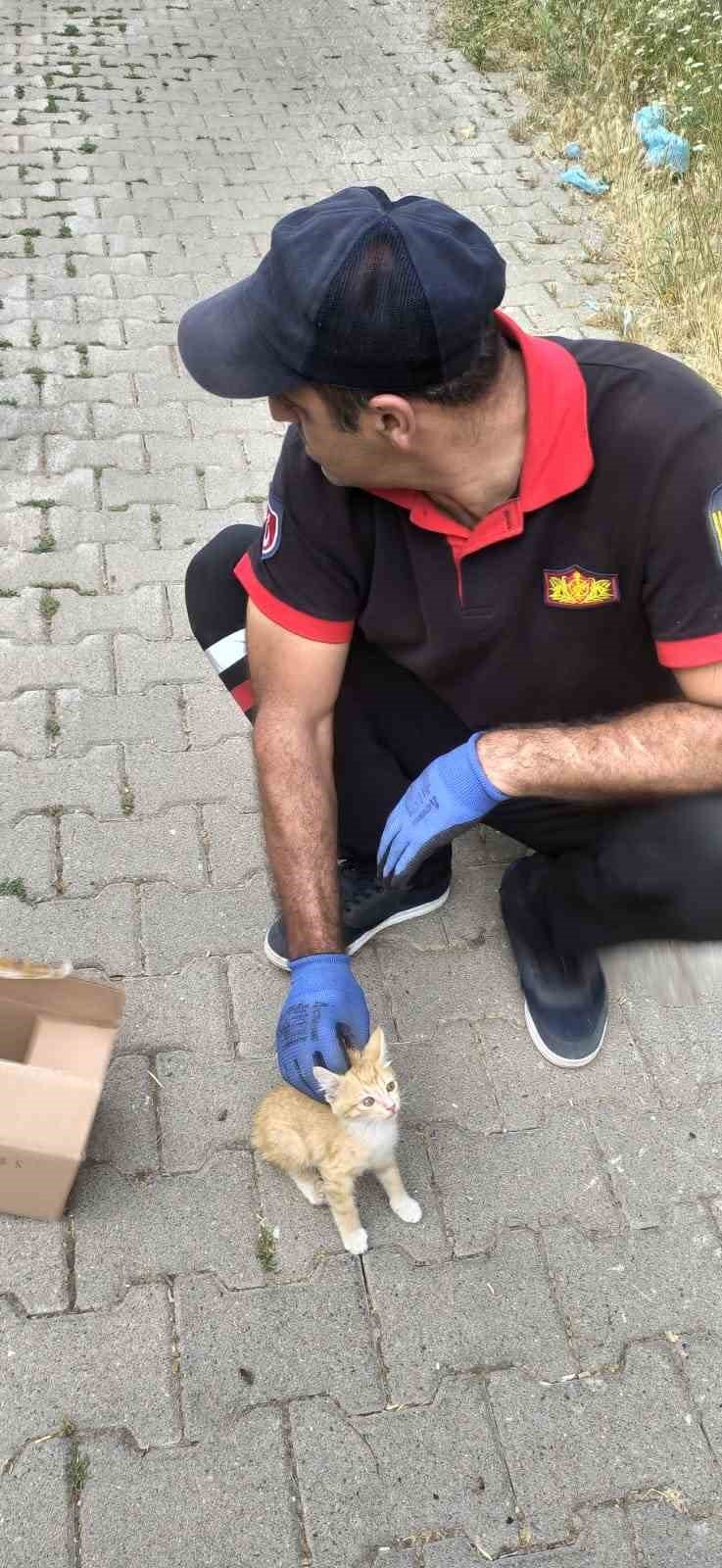 Bingöl’de tellere sıkışan yavru kediyi itfaiye kurtardı