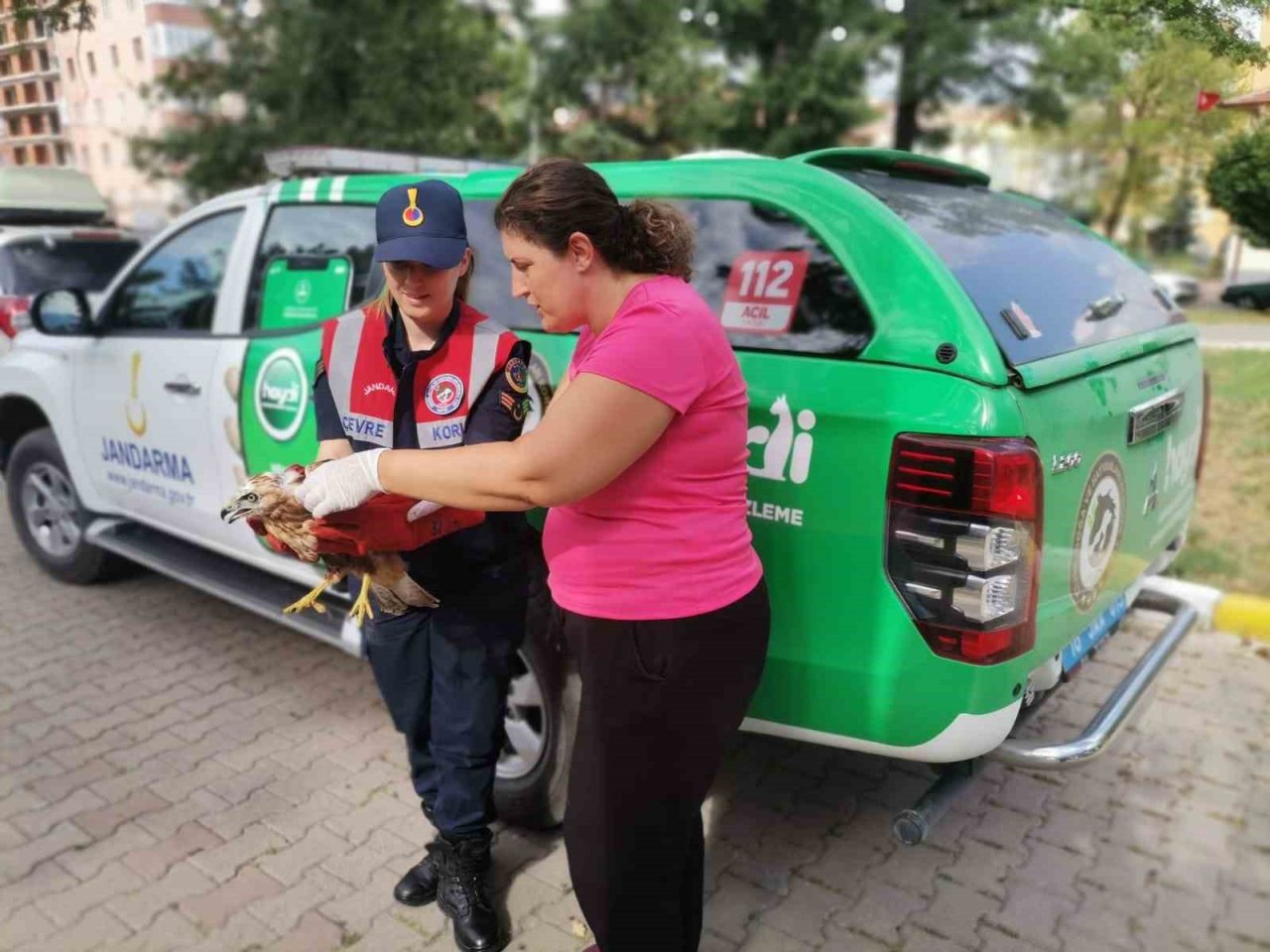 Yaralı halde bulunan şahin tedavi altına alındı