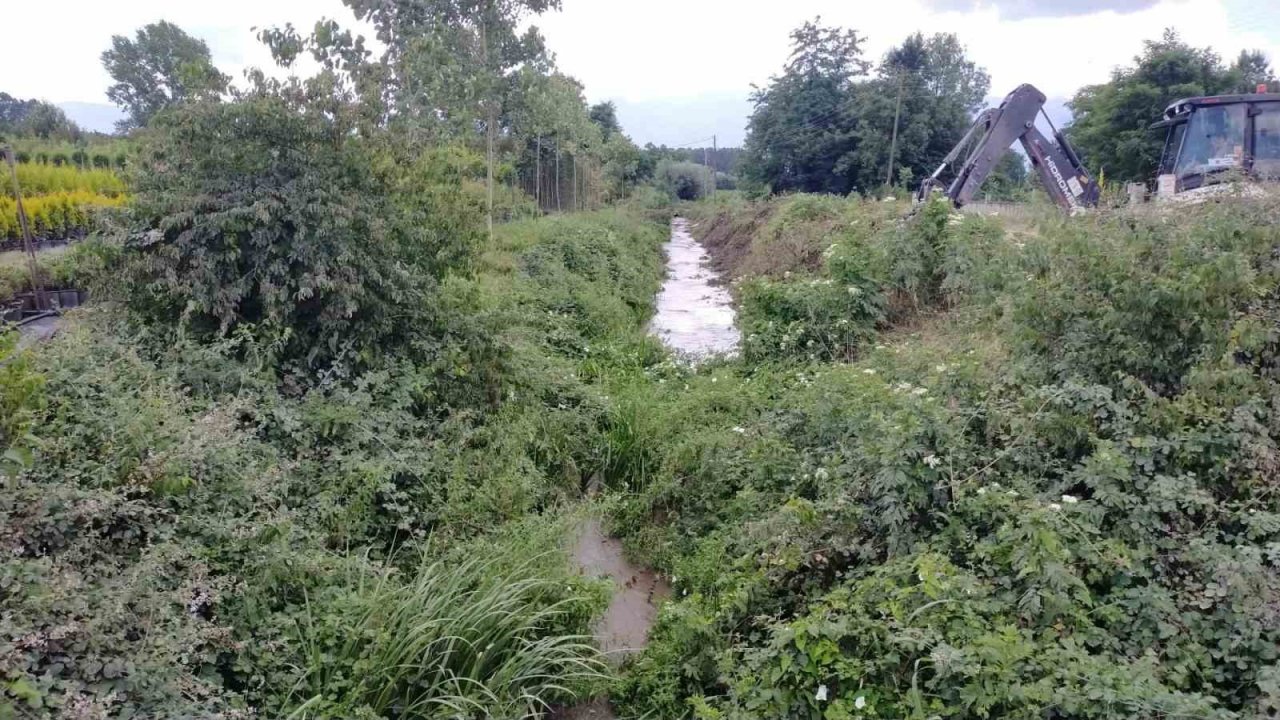 Dereler temizlenmeye başlandı