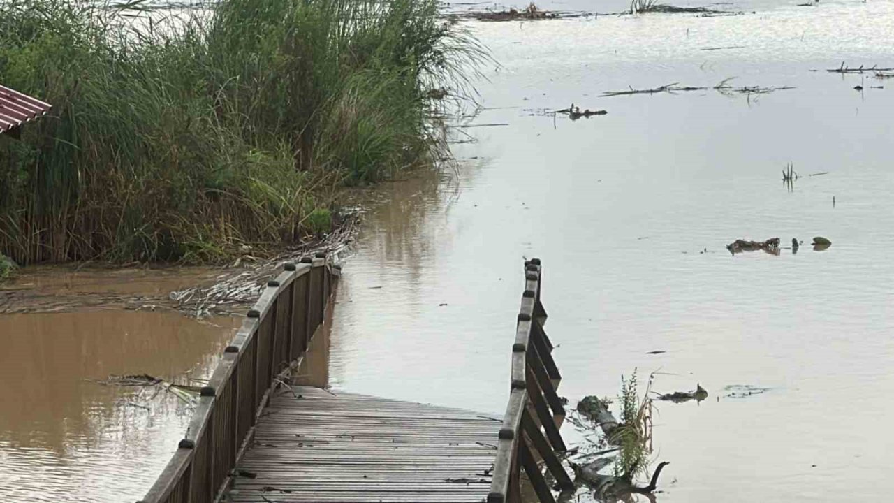 Efteni Gölü yağışlar sonrası taştı