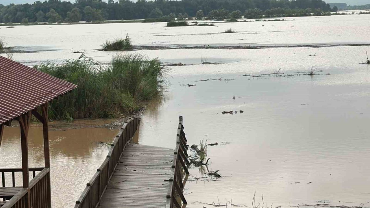 Efteni Gölü yağışlar sonrası taştı