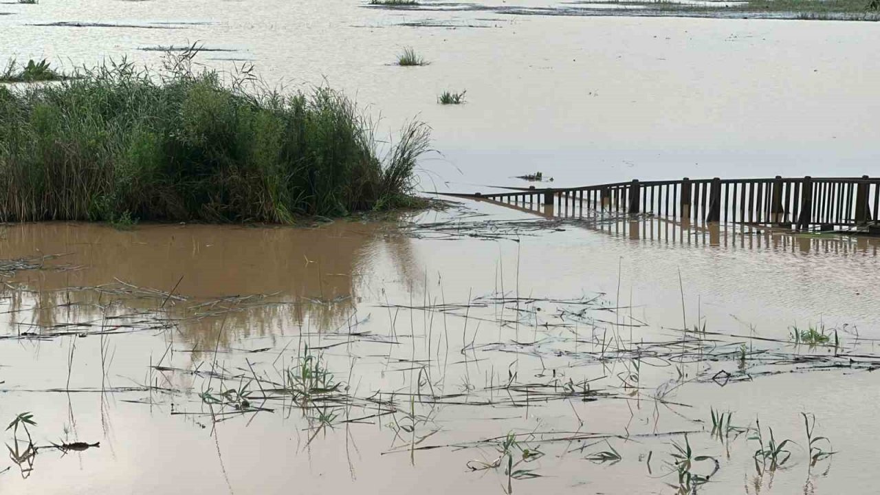 Efteni Gölü yağışlar sonrası taştı
