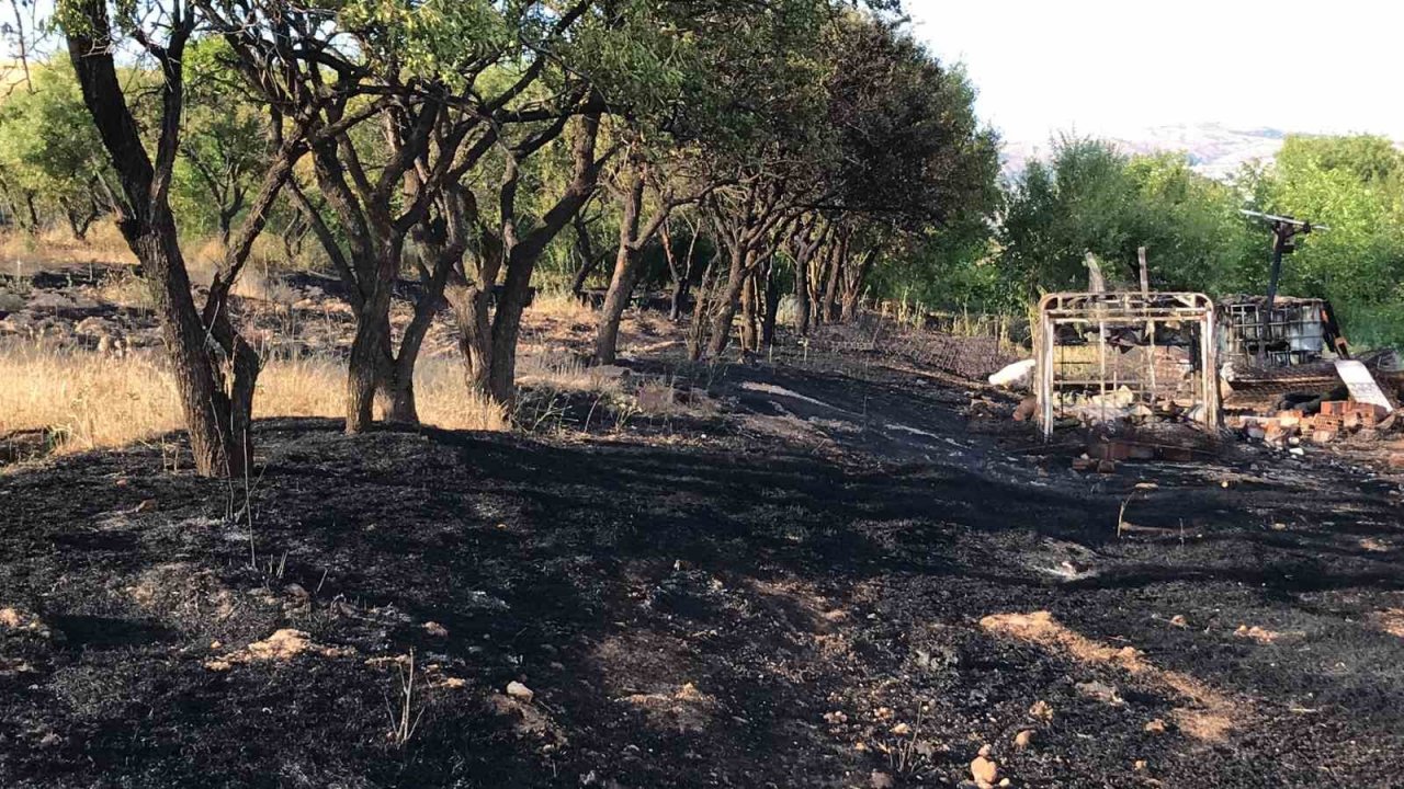 Elazığ’daki bahçe yangınında 10 dönüm alan zarar gördü