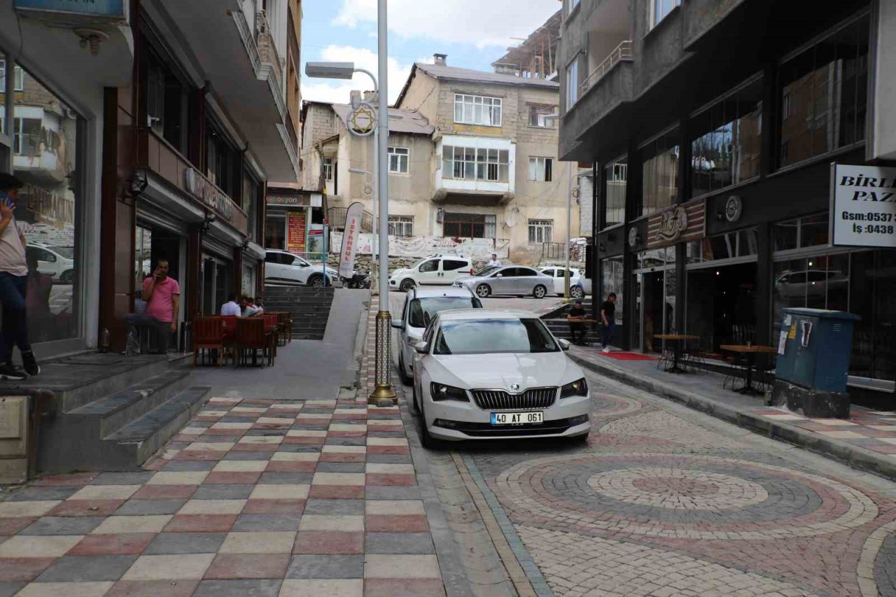 Hakkari’de ‘Sanat Sokağı’ çalışması