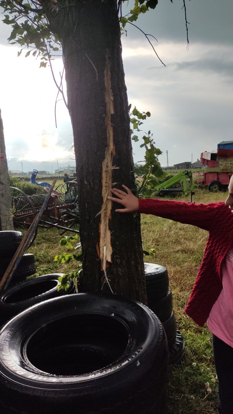 Kars’ta bir evin bahçesindeki ağaca yıldırım düştü