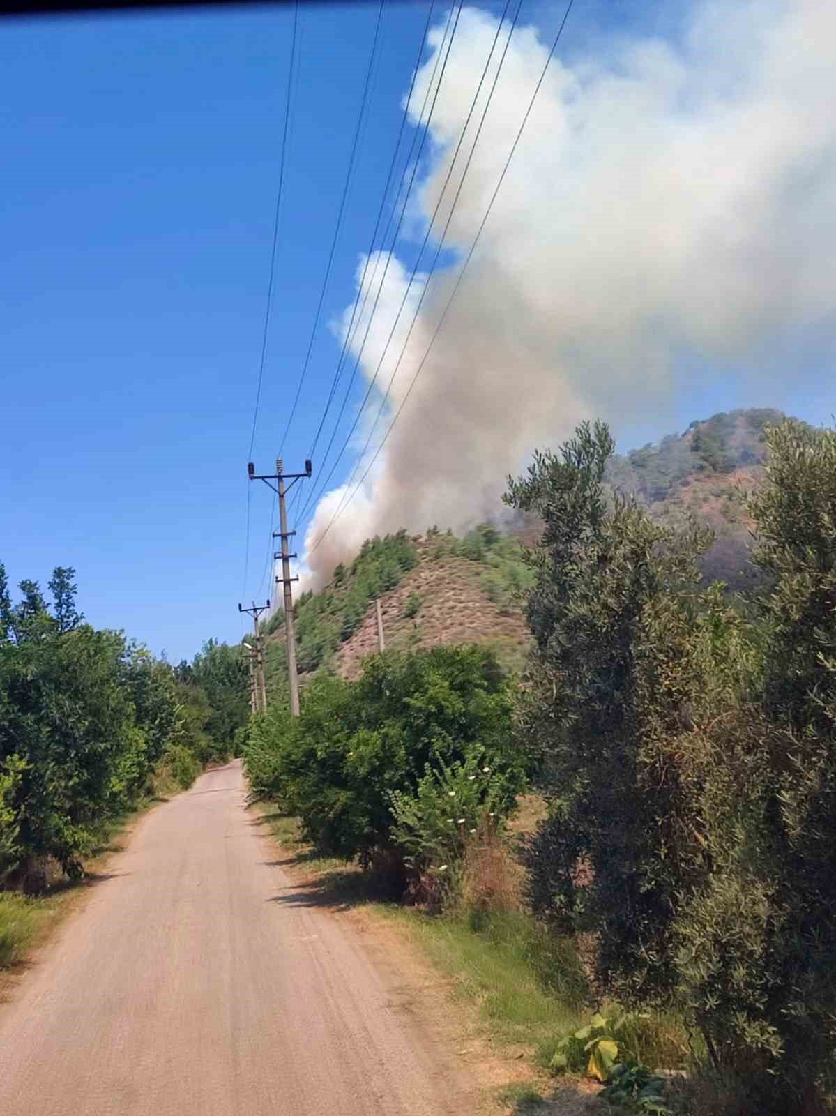 Ortaca orman yangınına havadan karadan müdahale devam ediyor