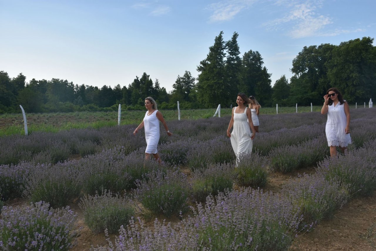 Lavanta tarlası alternatif turizm rotası oldu