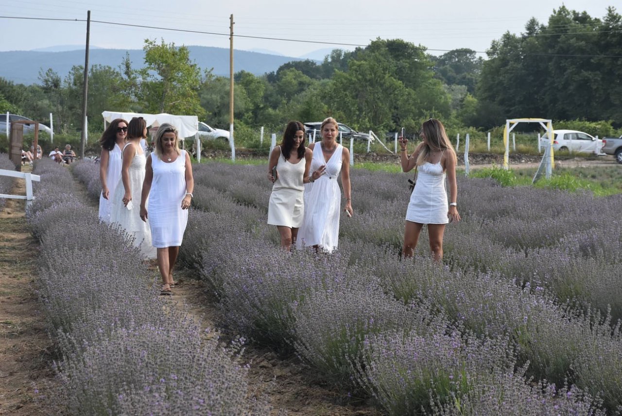 Lavanta tarlası alternatif turizm rotası oldu