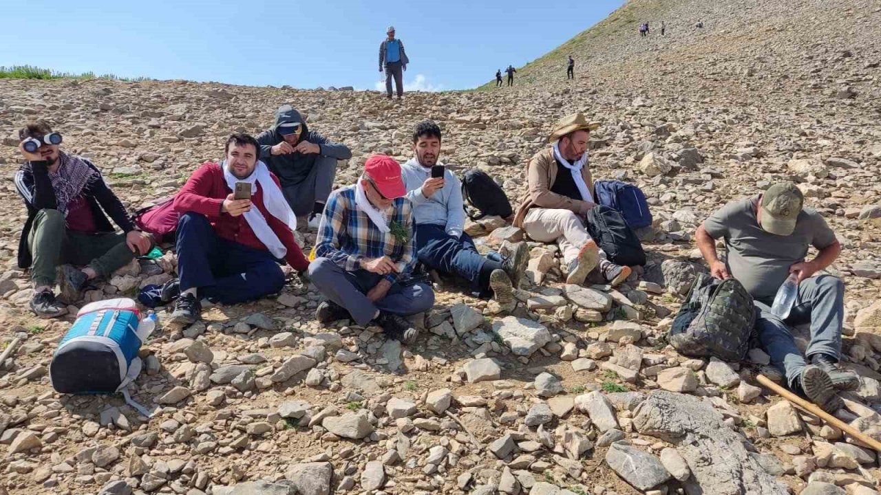 Temmuz sıcağında Mereto Dağı’nda kar yiyerek serinlediler