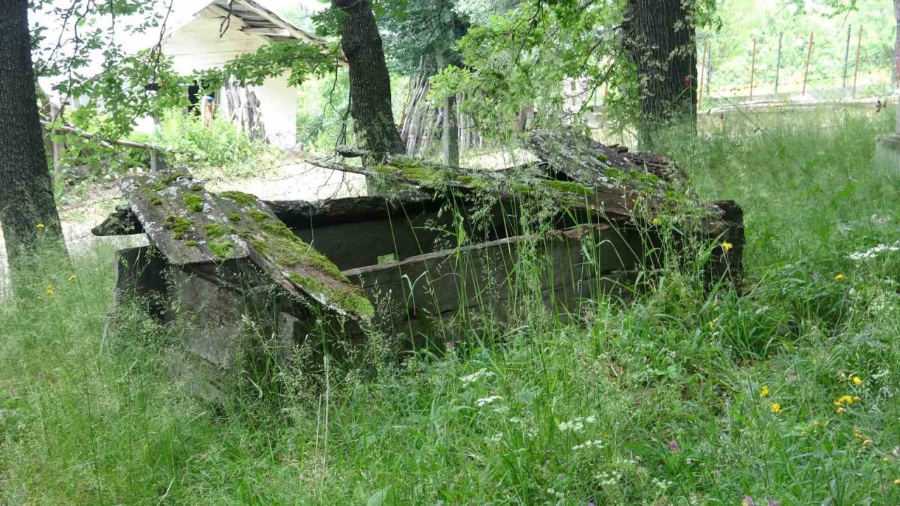 Türkiye’nin en ilginç mezarlığı yok olma tehlikesiyle karşı karşıya