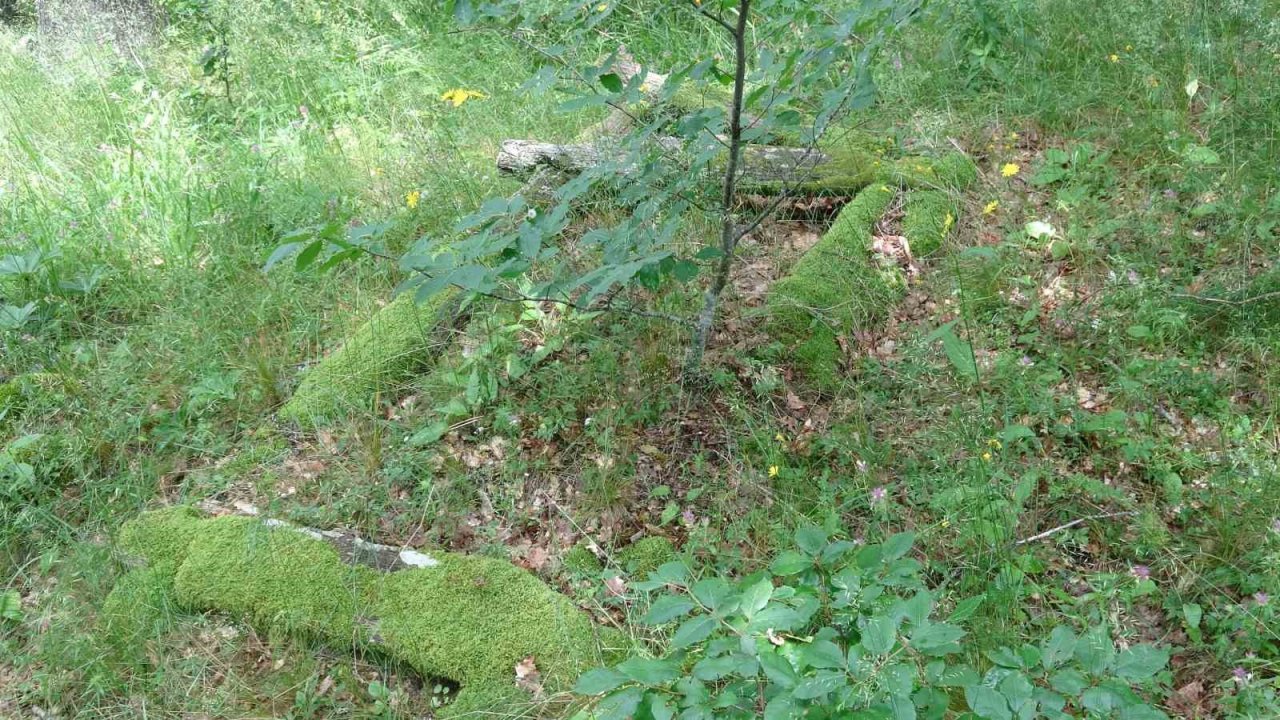 Türkiye’nin en ilginç mezarlığı yok olma tehlikesiyle karşı karşıya