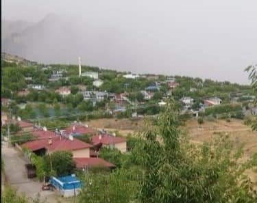 Türkiye’nin dut merkezini dolu vurdu