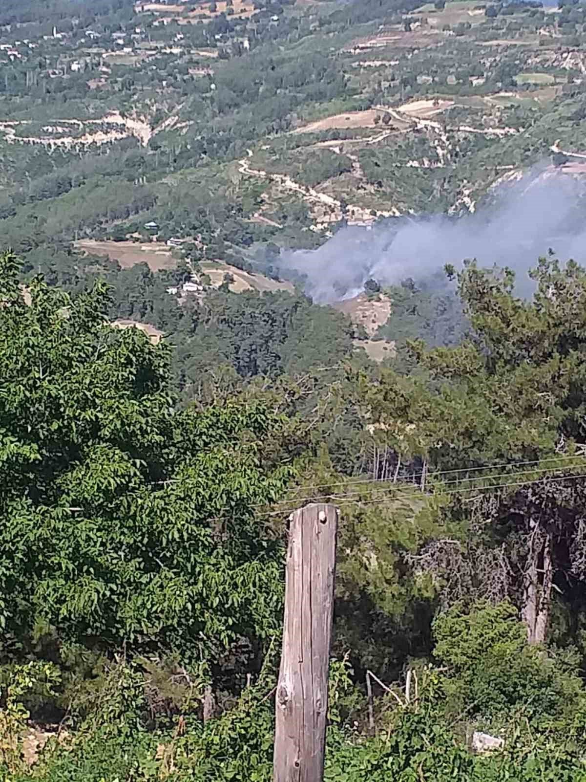 Adana’da ikinci orman yangını: Ekipler müdahaleye başladı
