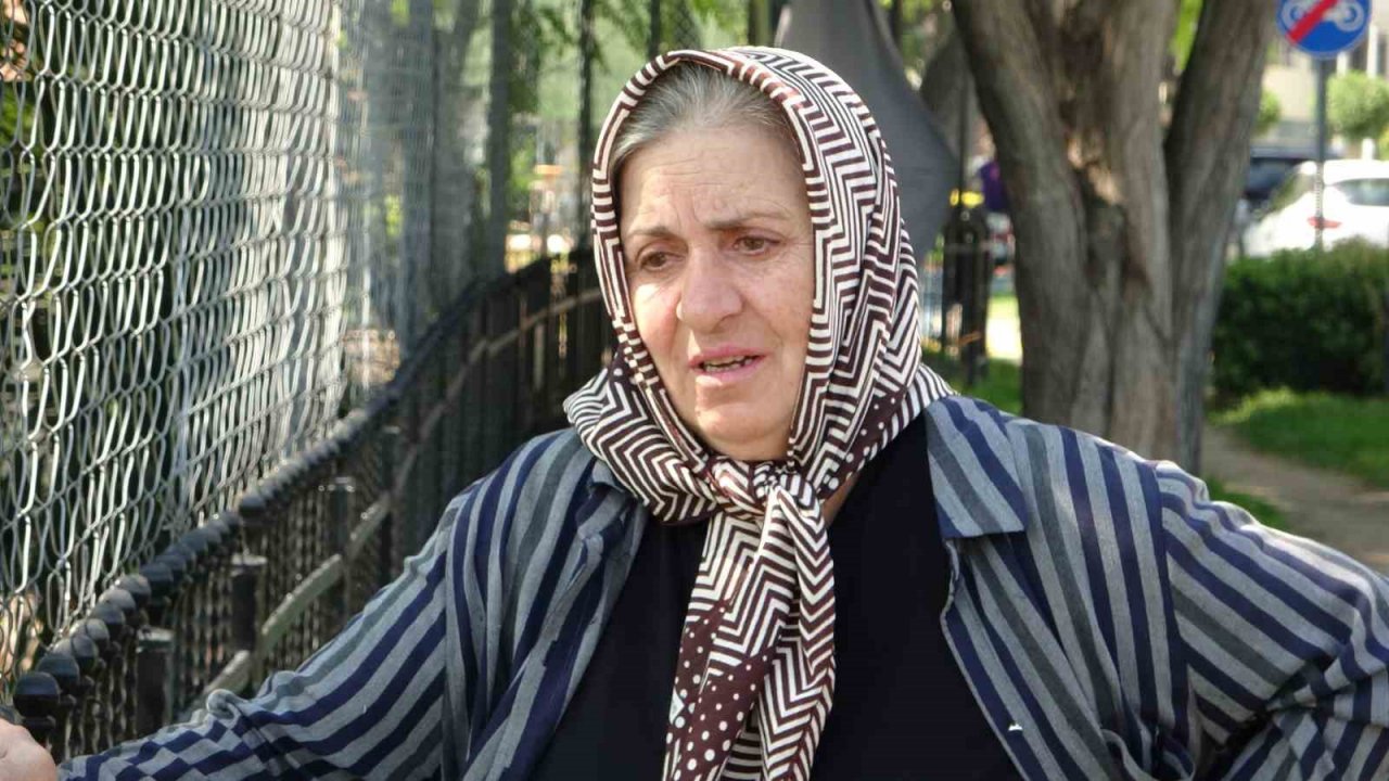 Dünyaca ünlü falezlerdeki yangın ağlattı