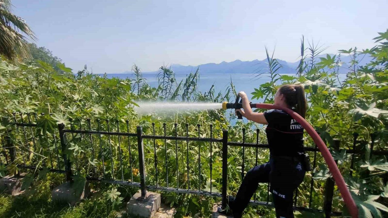 Dünyaca ünlü falezlerdeki yangın ağlattı