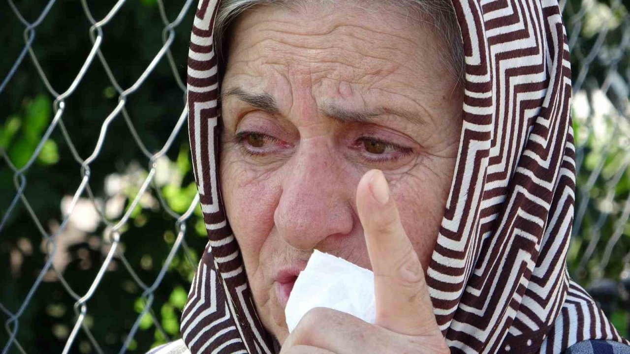 Dünyaca ünlü falezlerdeki yangın ağlattı