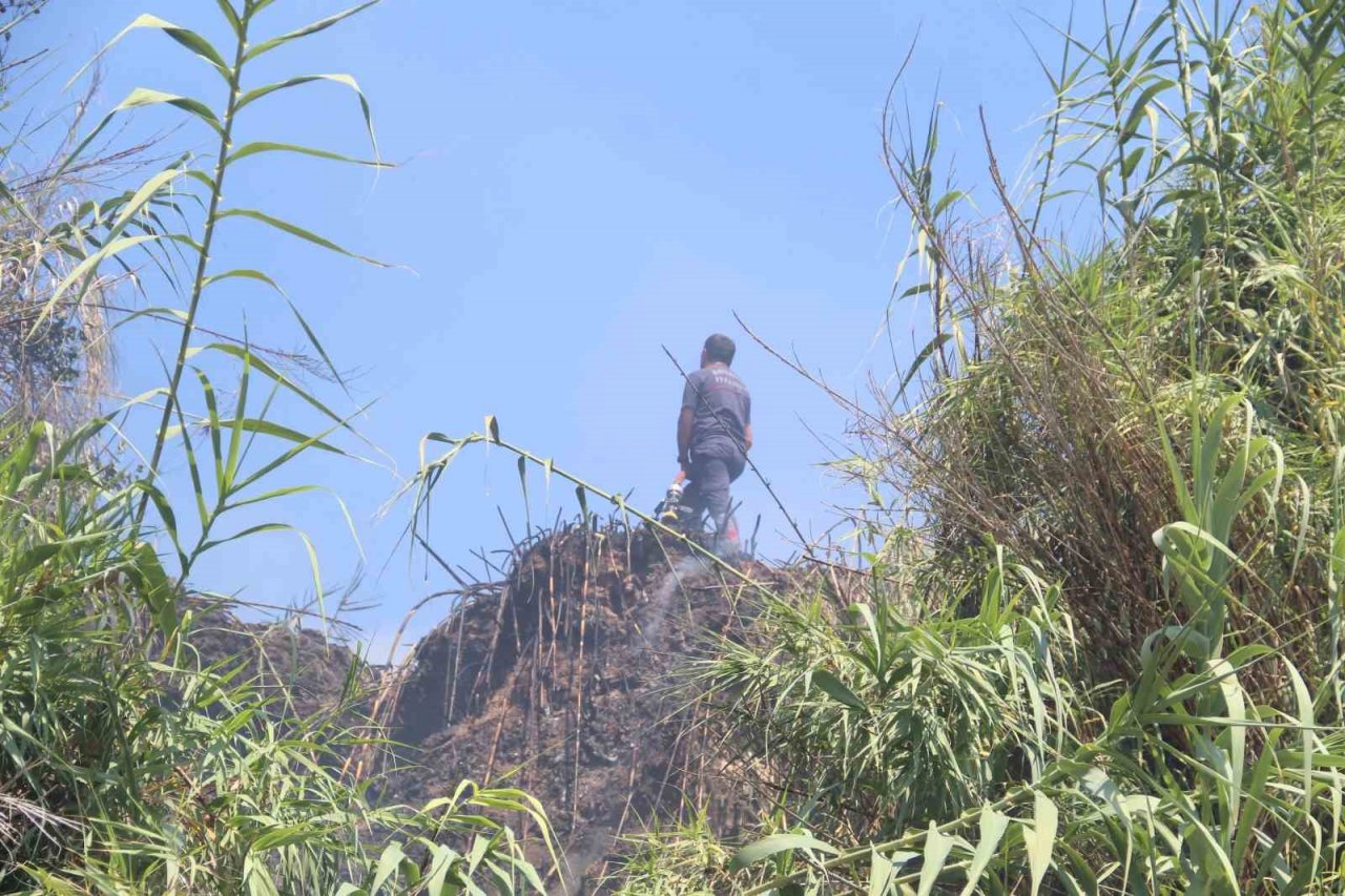 Dünyaca ünlü falezlerdeki yangın ağlattı