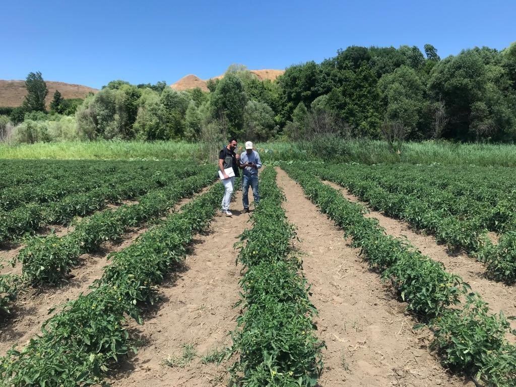 Bingöl’de yüzde 75 hibe dağıtılan fidelerin kontrolleri yapılıyor