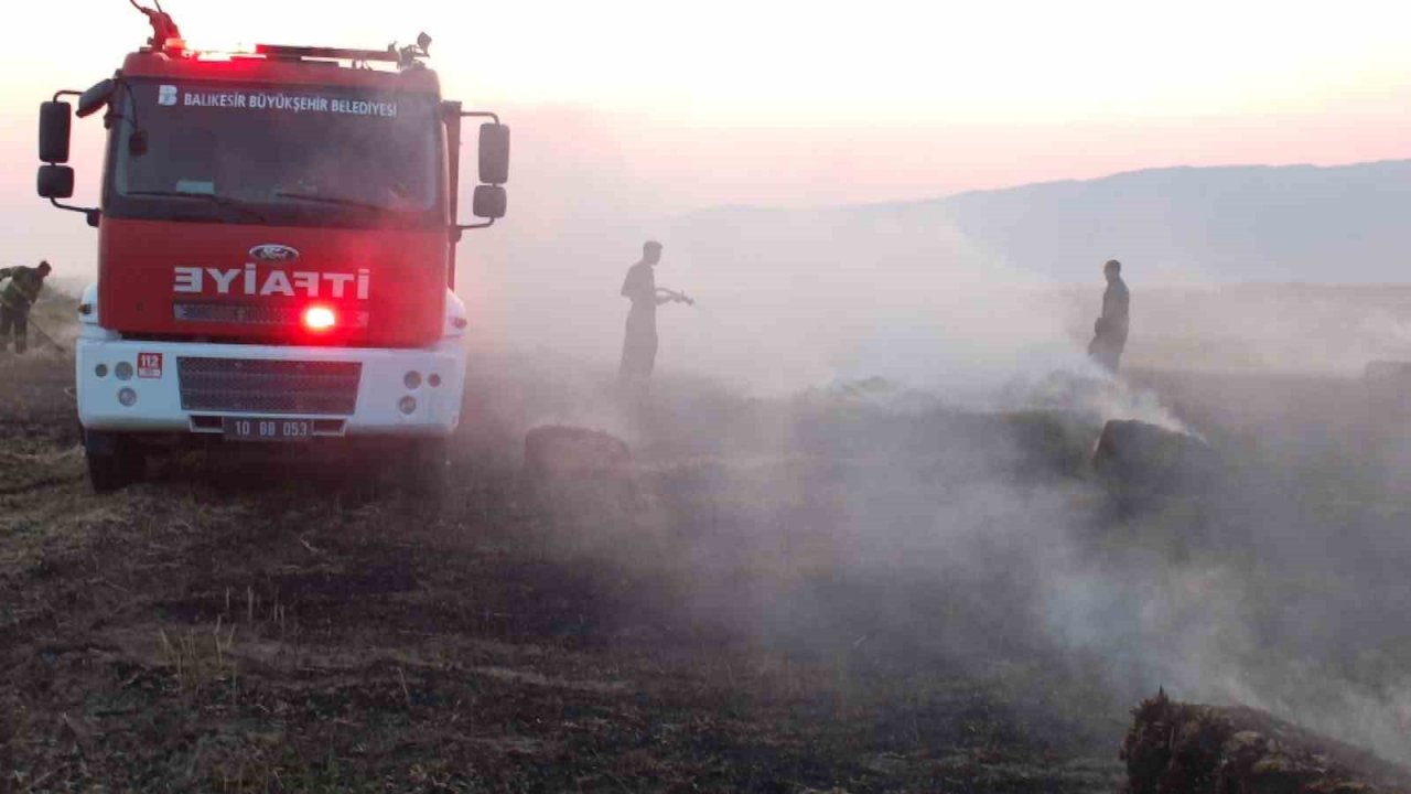 Balıkesir’de karganın neden olduğu anız yangını korkuttu