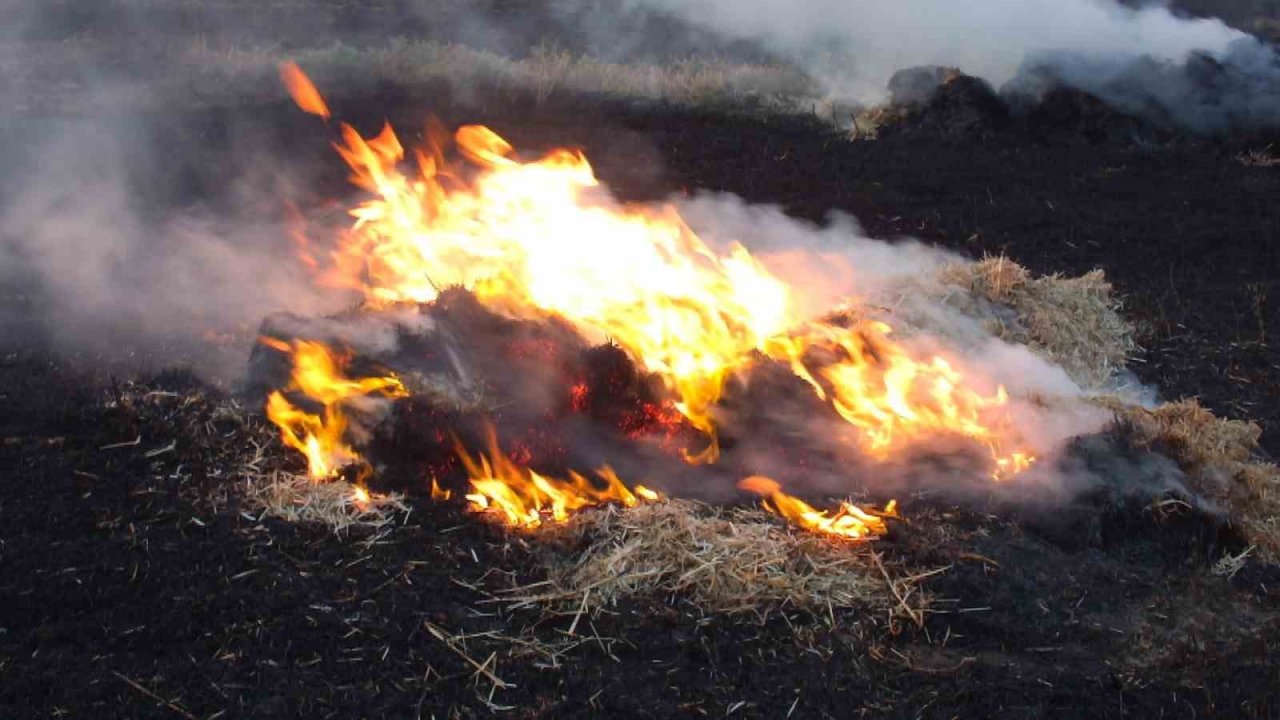 Balıkesir’de karganın neden olduğu anız yangını korkuttu