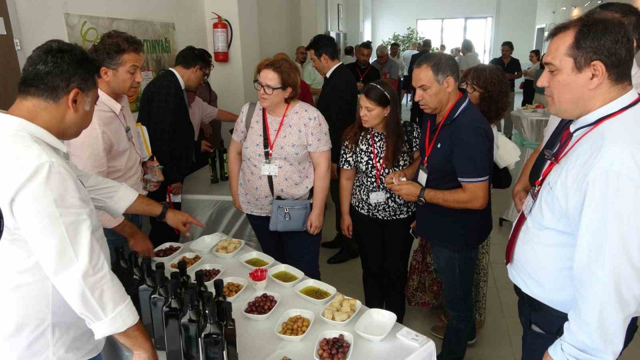 Çanakkale’de yüksek kaliteli zeytin ve zeytinyağı üretimi hedefleniyor