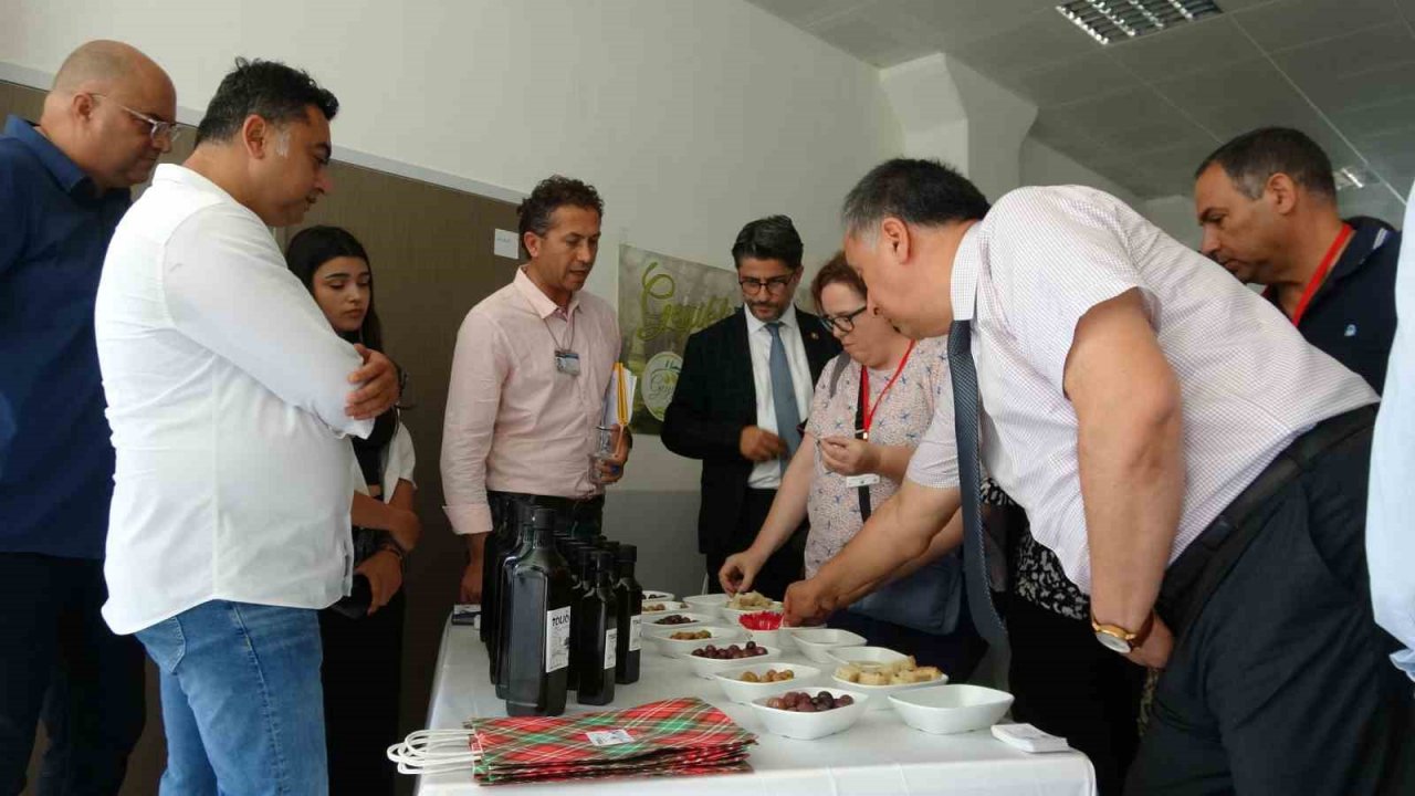 Çanakkale’de yüksek kaliteli zeytin ve zeytinyağı üretimi hedefleniyor