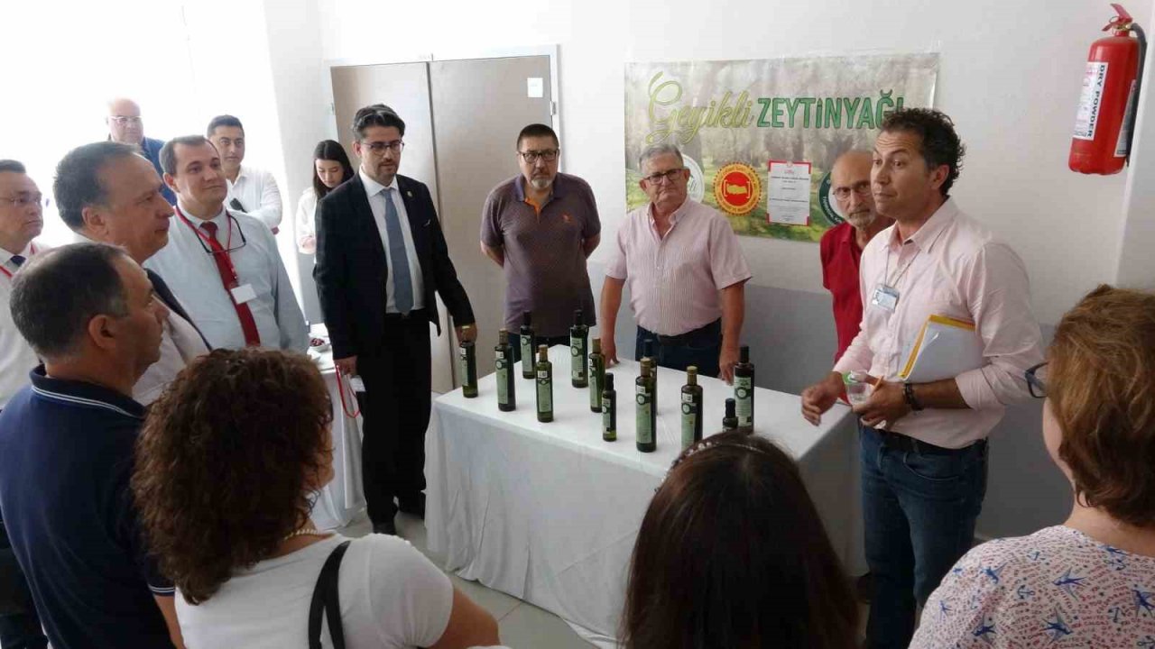 Çanakkale’de yüksek kaliteli zeytin ve zeytinyağı üretimi hedefleniyor