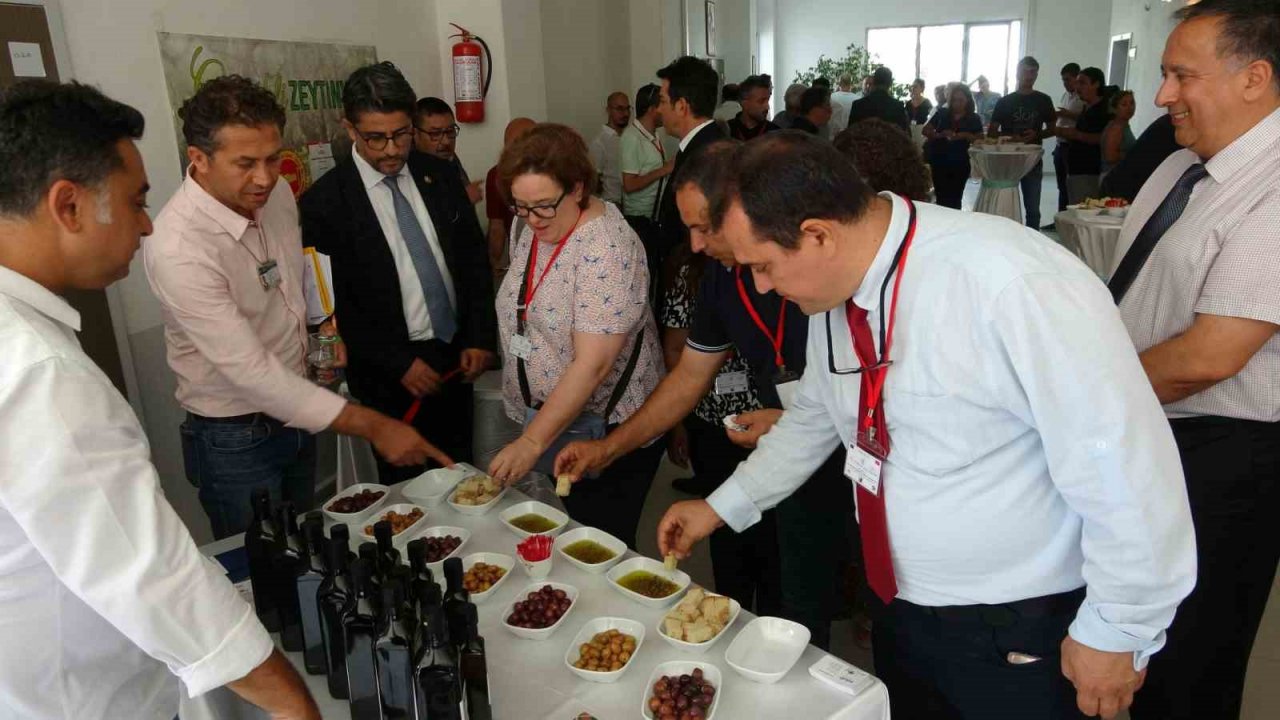 Çanakkale’de yüksek kaliteli zeytin ve zeytinyağı üretimi hedefleniyor