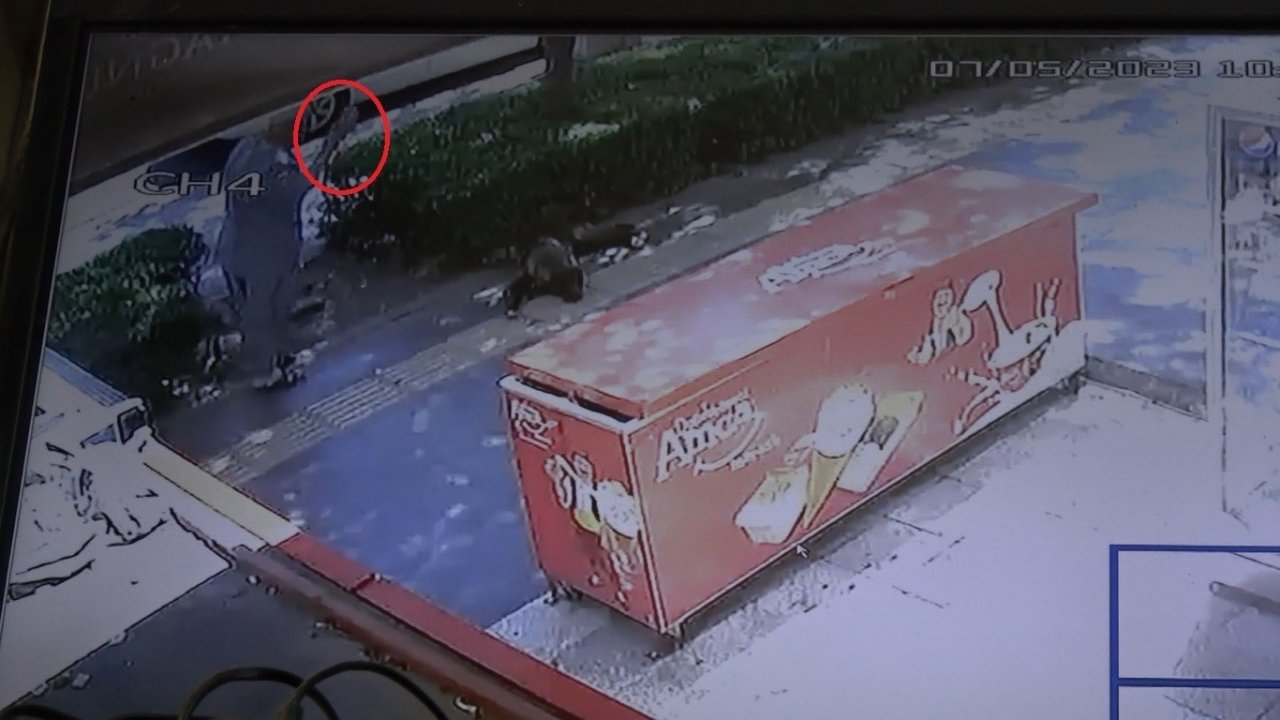 Gölgede dinlenen köpeğe taş attı