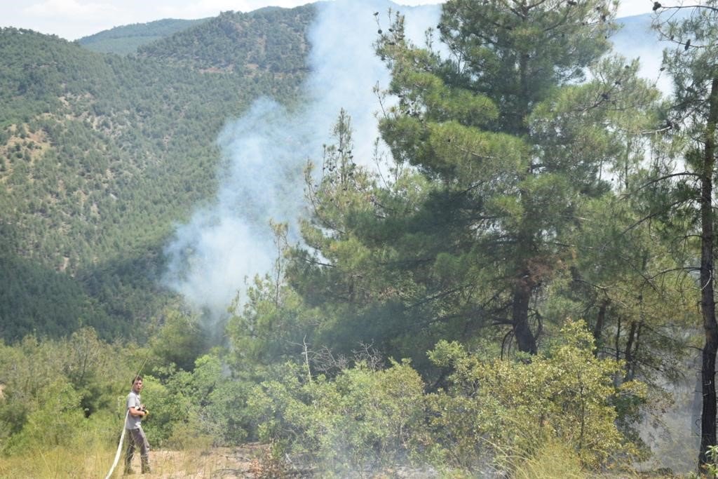 Eskişehir’de orman yangını
