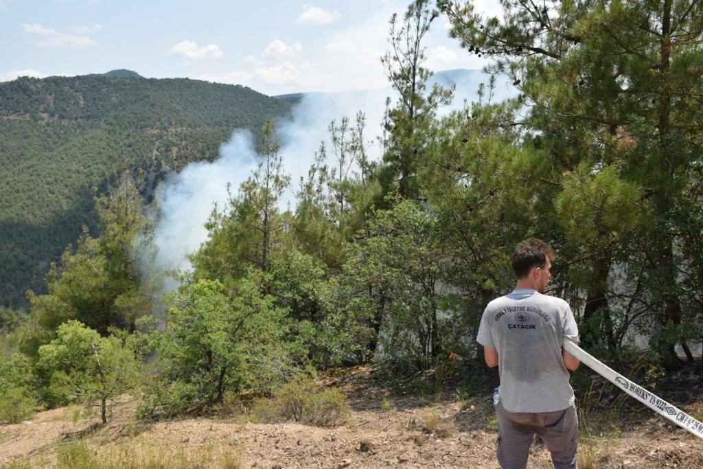 Eskişehir’de orman yangını