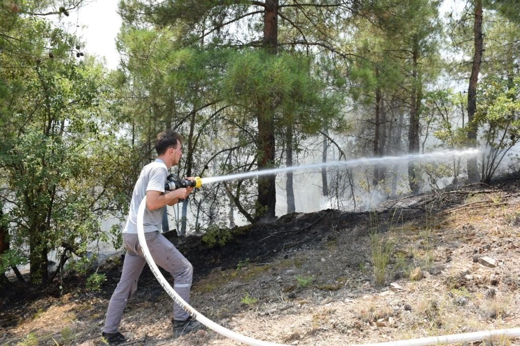 Eskişehir’de orman yangını