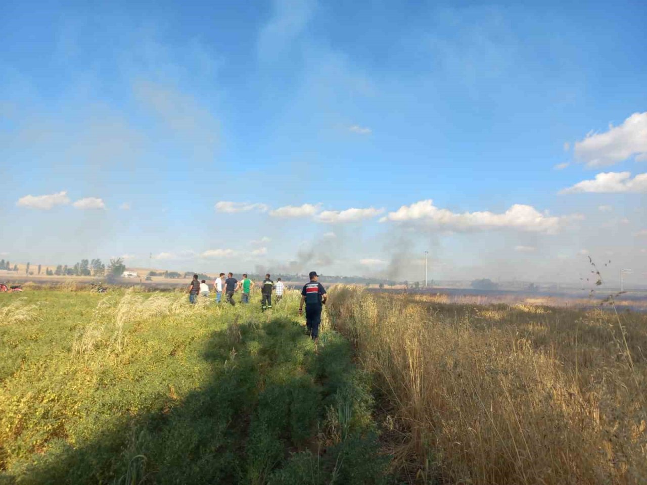 Elektrik akımına kapılan kuşun sebep olduğu yangında 60 dönüm hububat arazisi zarar gördü