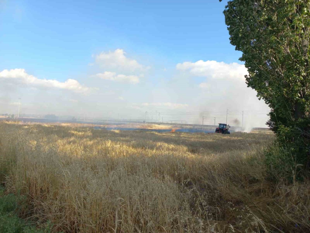 Elektrik akımına kapılan kuşun sebep olduğu yangında 60 dönüm hububat arazisi zarar gördü